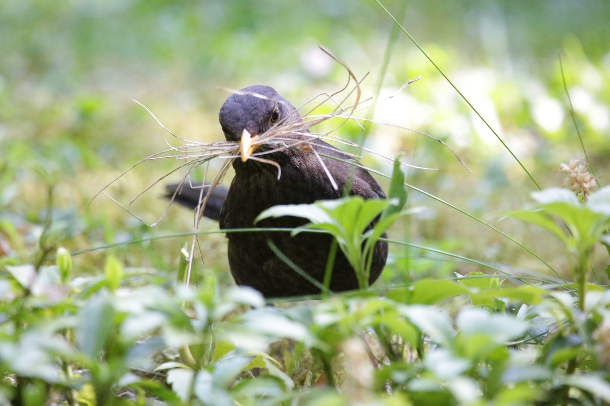 Ein Einblick in unser Gartenatlier