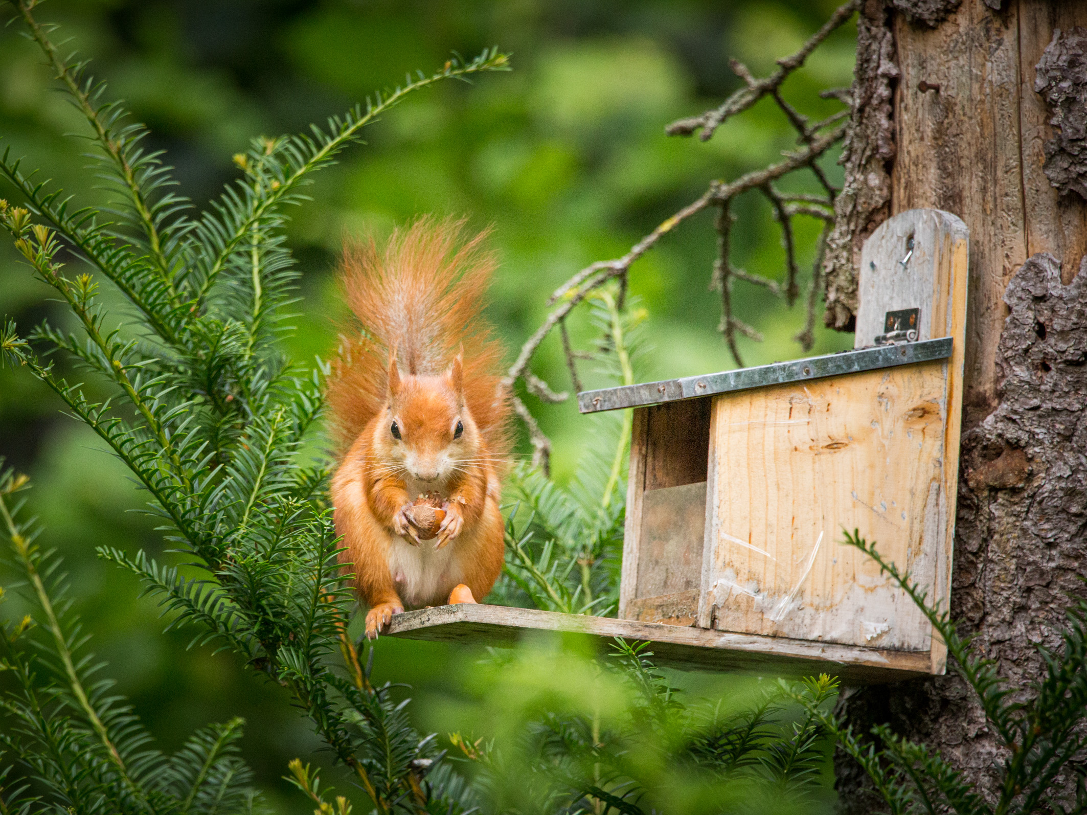 Ein Einblick in unser Gartenatlier