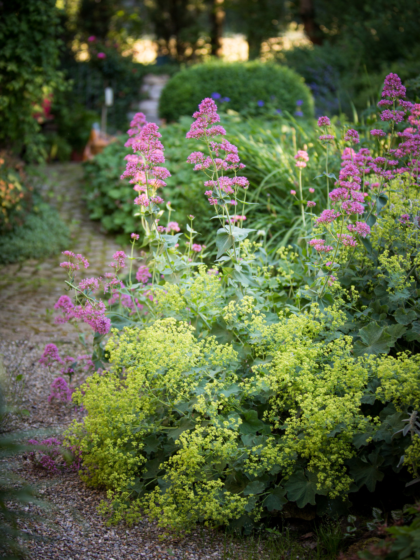 Ein Einblick in unser Gartenatlier