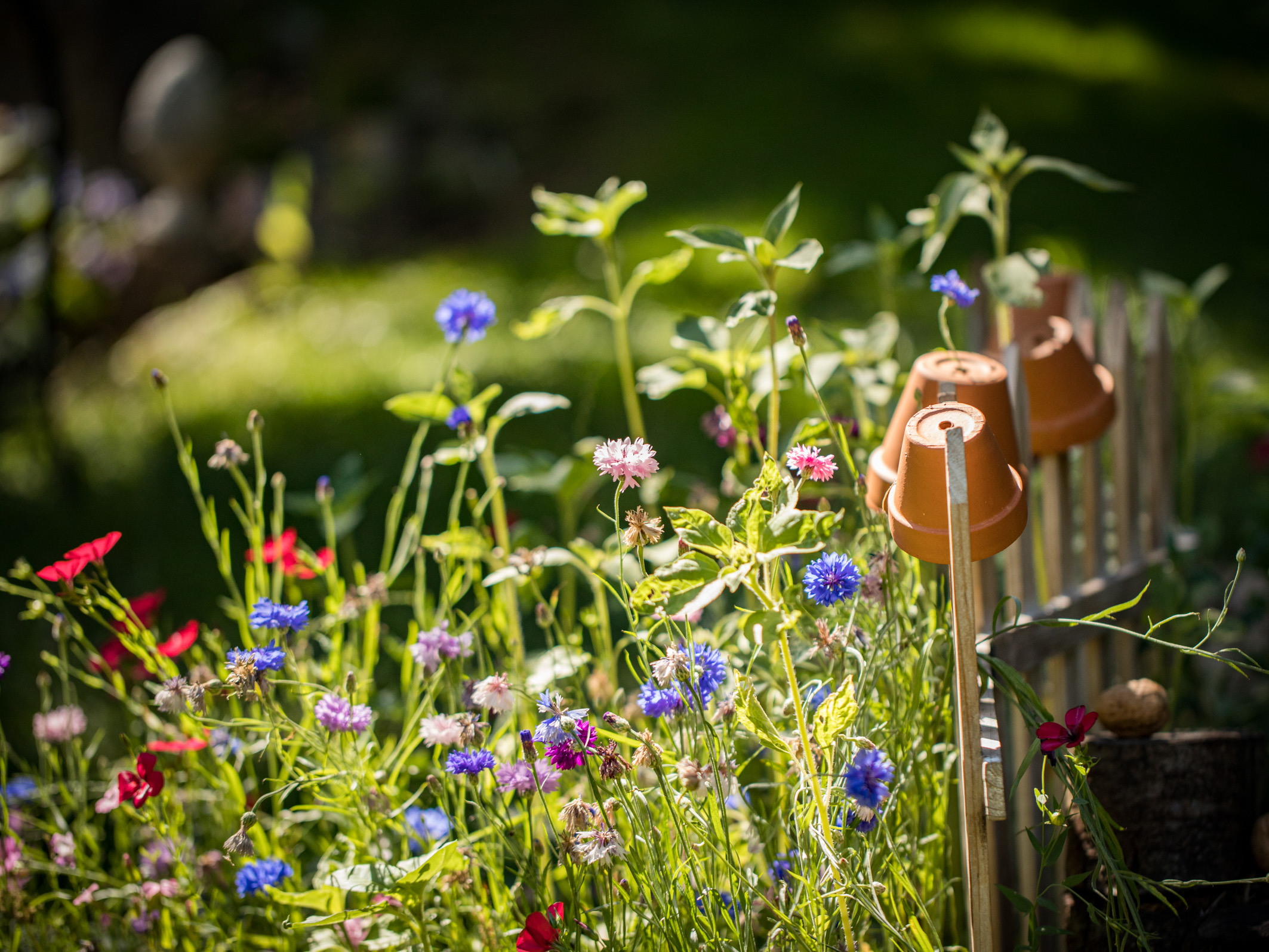 Ein Einblick in unser Gartenatlier