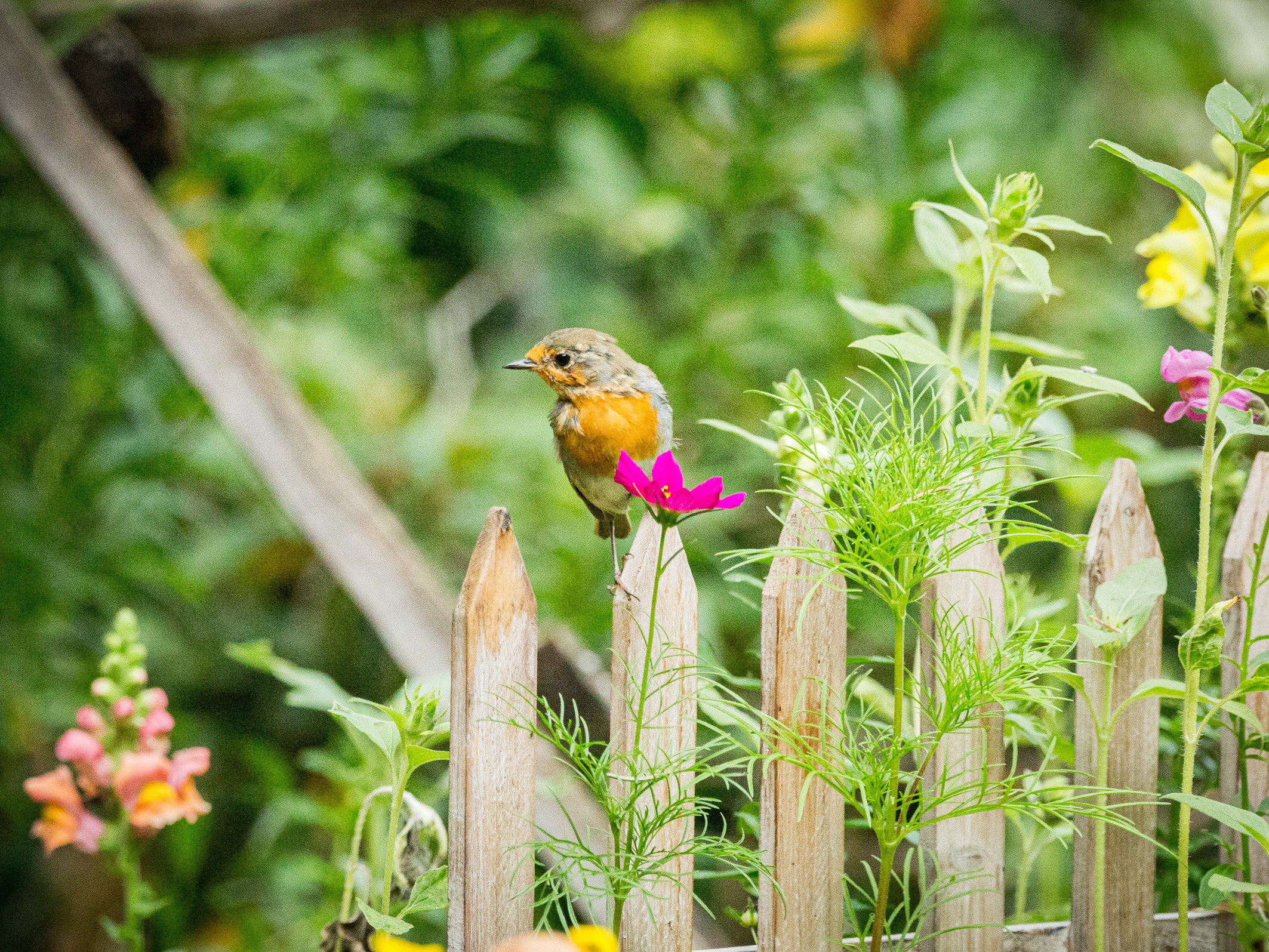 Ein Einblick in unser Gartenatlier