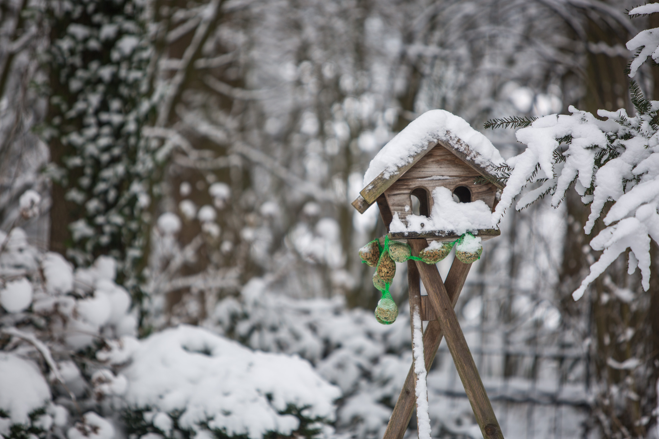 Ein Einblick in unser Gartenatlier