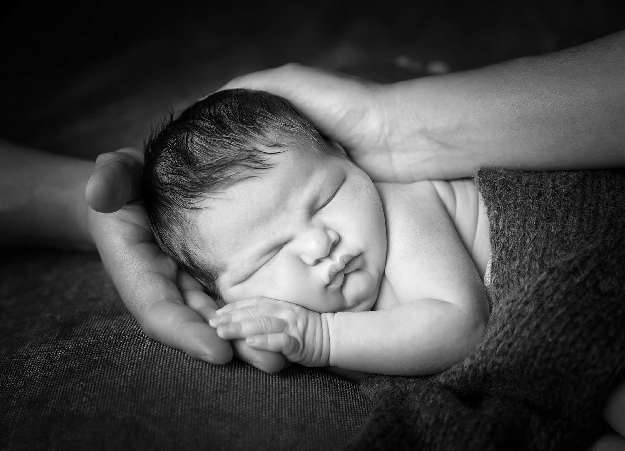 pure Babyfotografie Hände Eltern