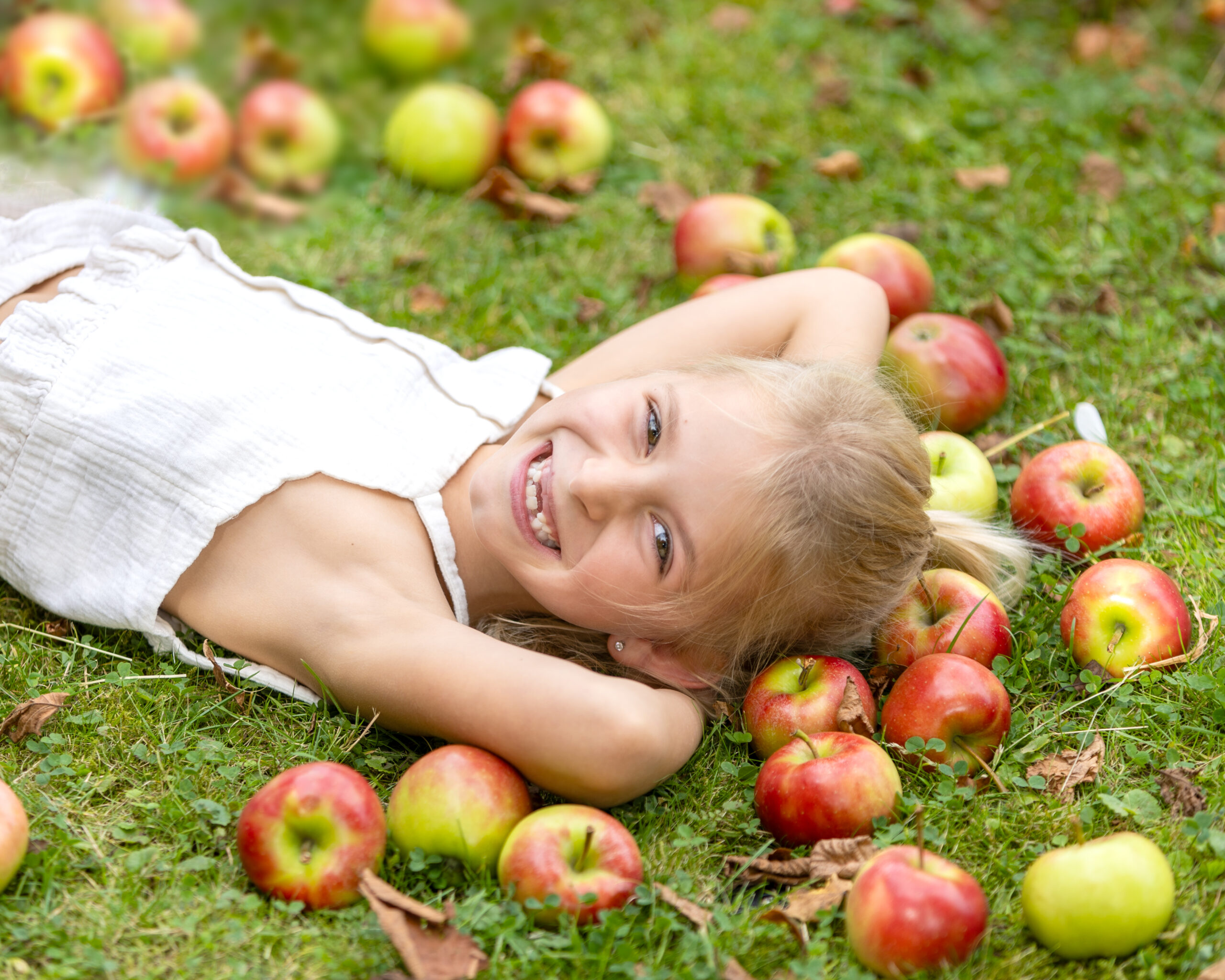 Herbst Special 2025