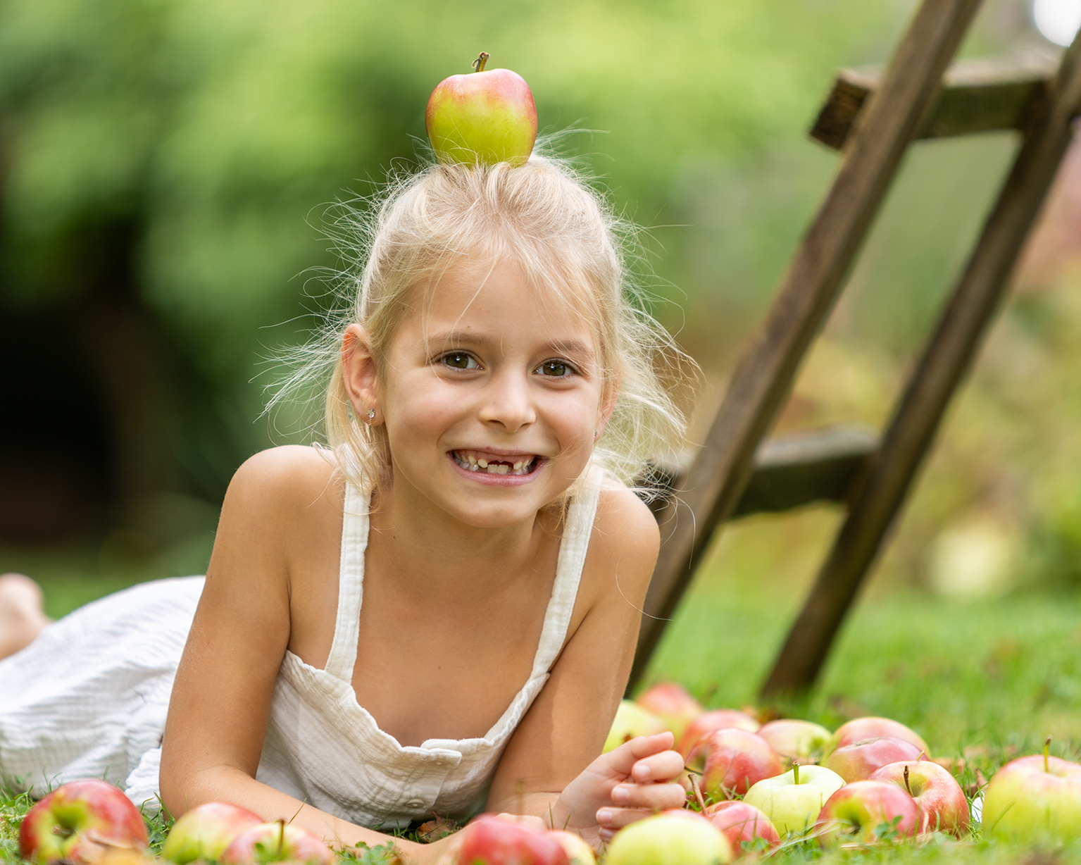 Herbst Fotospecial 2025 Äpfel