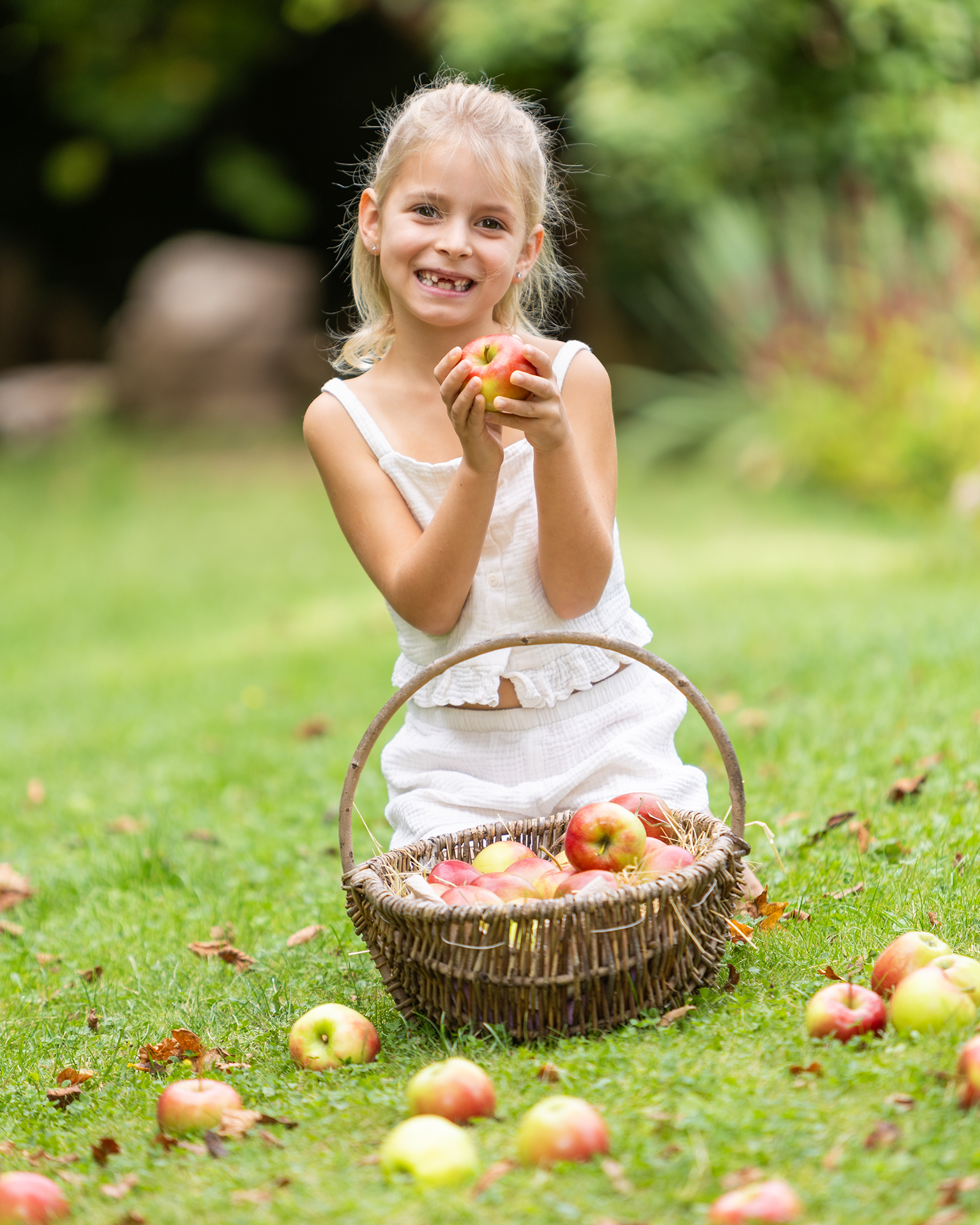 Herbst specialangebot 2025