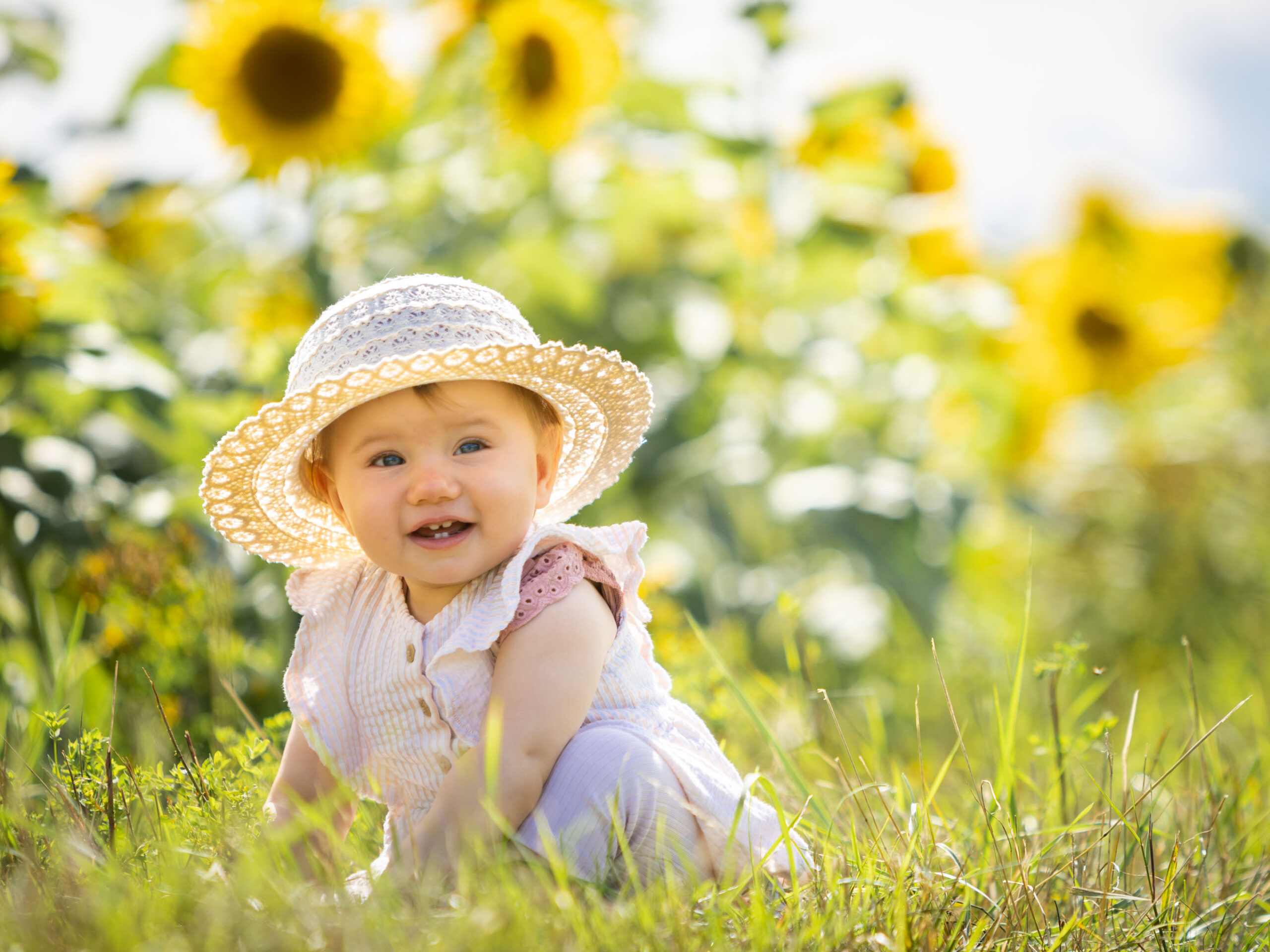 August Specialangebot Fotoshooting im Sonnenblumenfeld