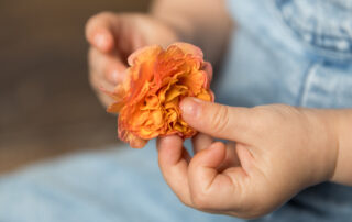 Babyfoto, 1 Geburtstag, Details, Fotostudio lichtblick Blumen, Ostern, Primel