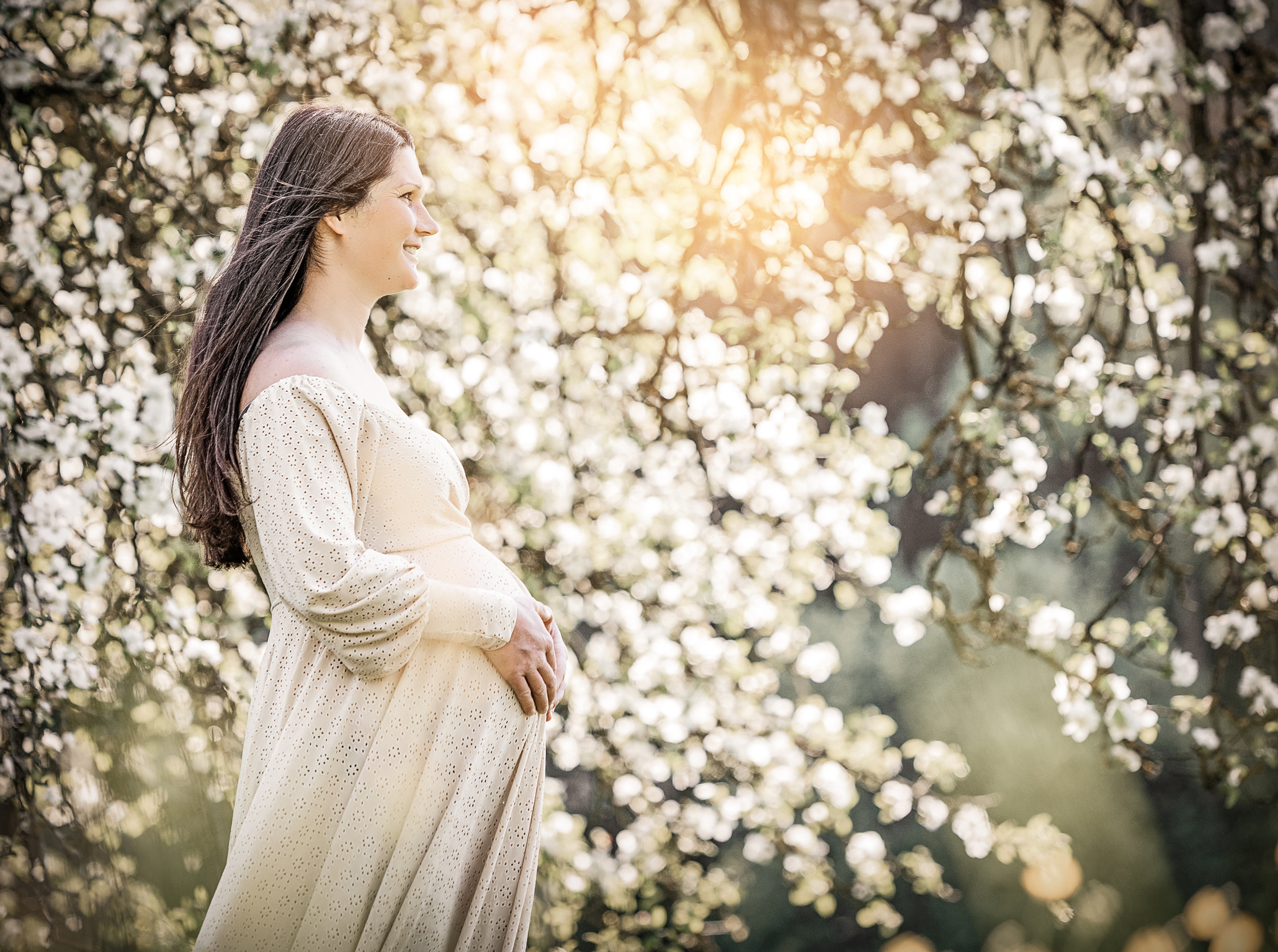 Babybauchfotos,Apfelblüte,fotostudio,lichtblick,pegnitz,doris,dörfler,outdoor,blüten Schwangere Frau vor einem großen Apfelbaum, ruhige Babybauchaufnahme in der Natur.