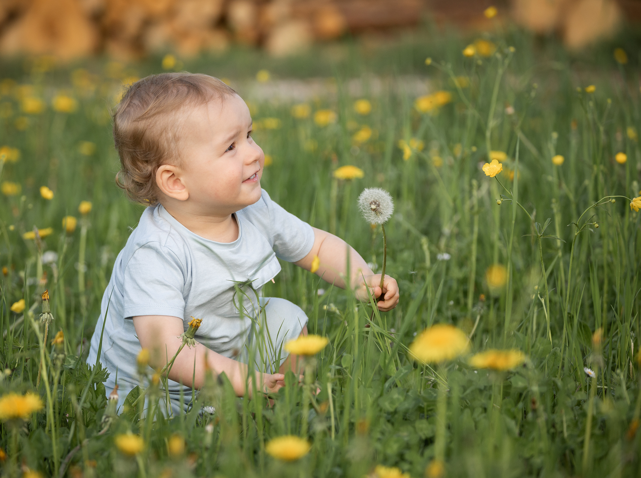 Frühling-2026-kinderfotografie-doris-dörfler-fotostudio-lichtblick-pegnitz Baby sitzt in der Wiese und spielt mit einem Löwenzahn, natürliches Kinderfoto im Freien.