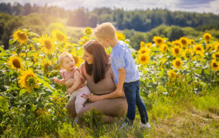 Specialangebot im August Sonnenblumen