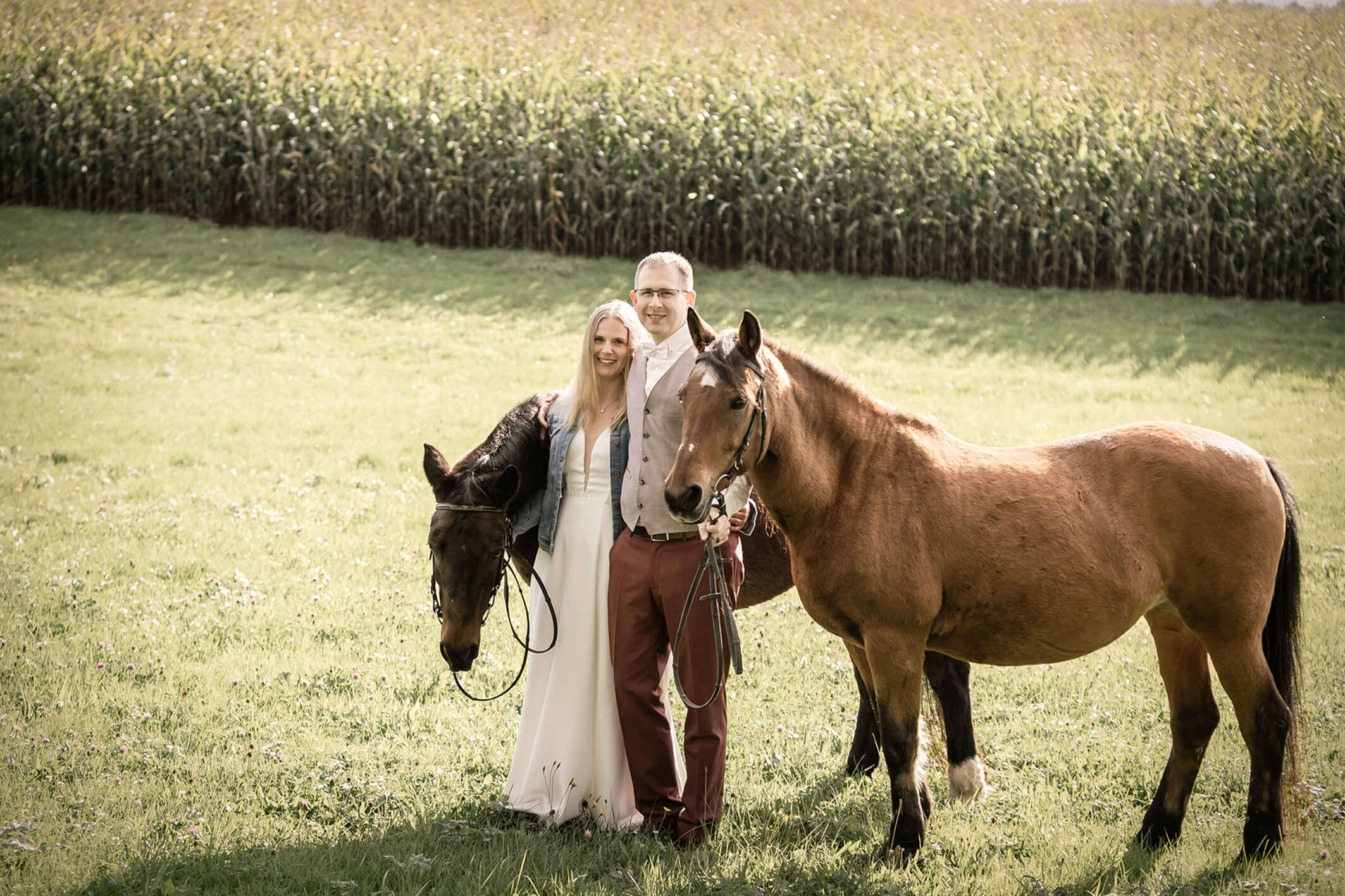 Brautpaar steht auf einer Wiese mit Pferden, im Hintergrund ein Maisfeld, natürliche Hochzeitsfotografie.