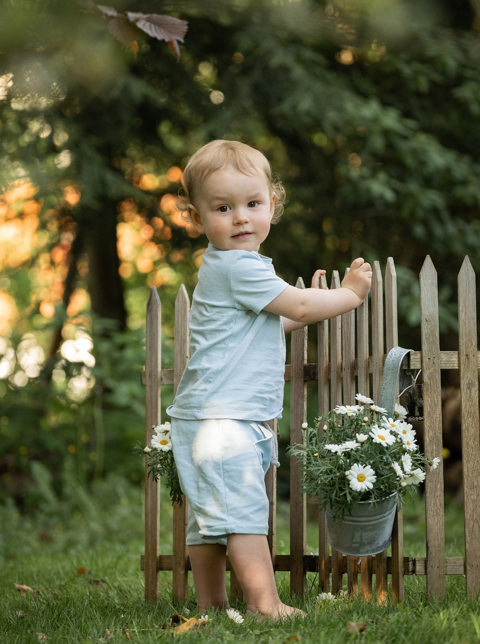 Frühling-2026-kinderfotografie-gartenatelier-doris-dörfler-fotostudio-lichtblick-pegnitz Kind am Holzzaun mit Margeriten im Gartenatelier