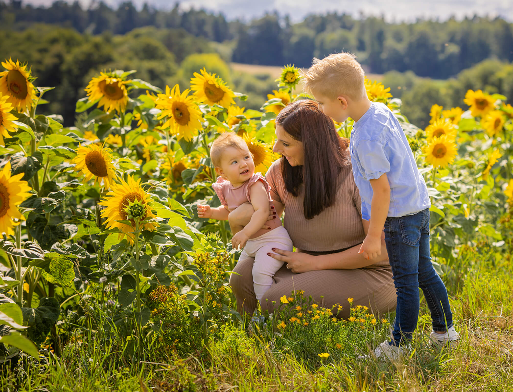 Outdoorfotografie-sonnenblumenfeld-fränkischeschweiz-doris-dörfler-lichtblick Mutter mit zwei Kindern im Sonnenblumenfeld, alle schauen liebevoll zueinander.