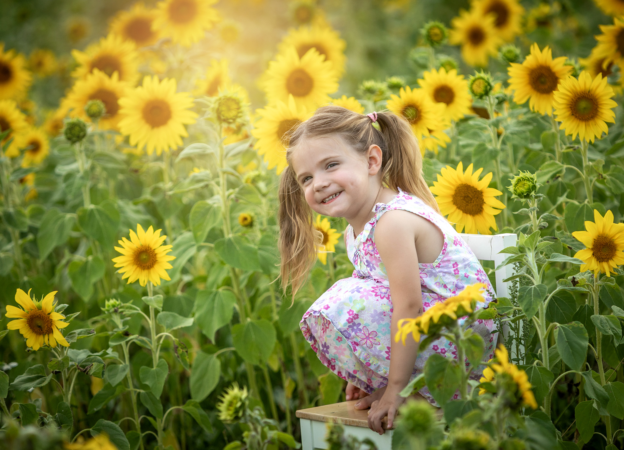 Sonnenblumenfotoserie Pegnitz Doris Dörfler Fränkische Schweiz kleines Mädchen sitzt in einem Sonnenblumenfeld und schaut frech in die Kamera